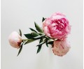 item-2